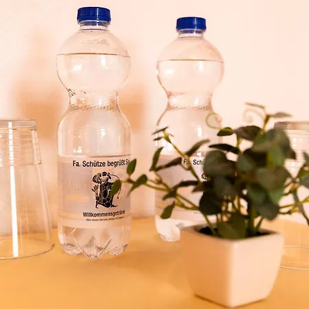 Schütze Superior Hotel 2*